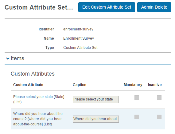 Date custom attribute in use