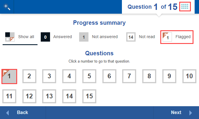 Progress summary screen with question 1 flagged