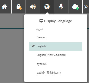 Language switcher on toolbar
